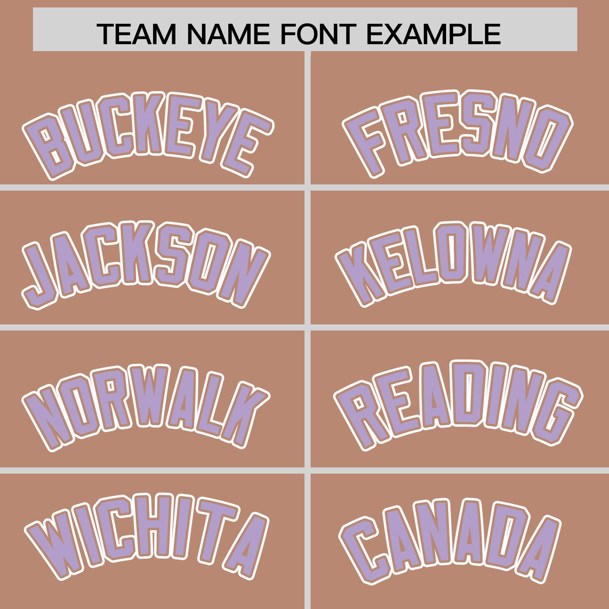 Custom Teabrown Light Purple Raglan Sleeves Varsity Full-Snap Letterman Two Tone Jacket Hoodie| KXKSHOP