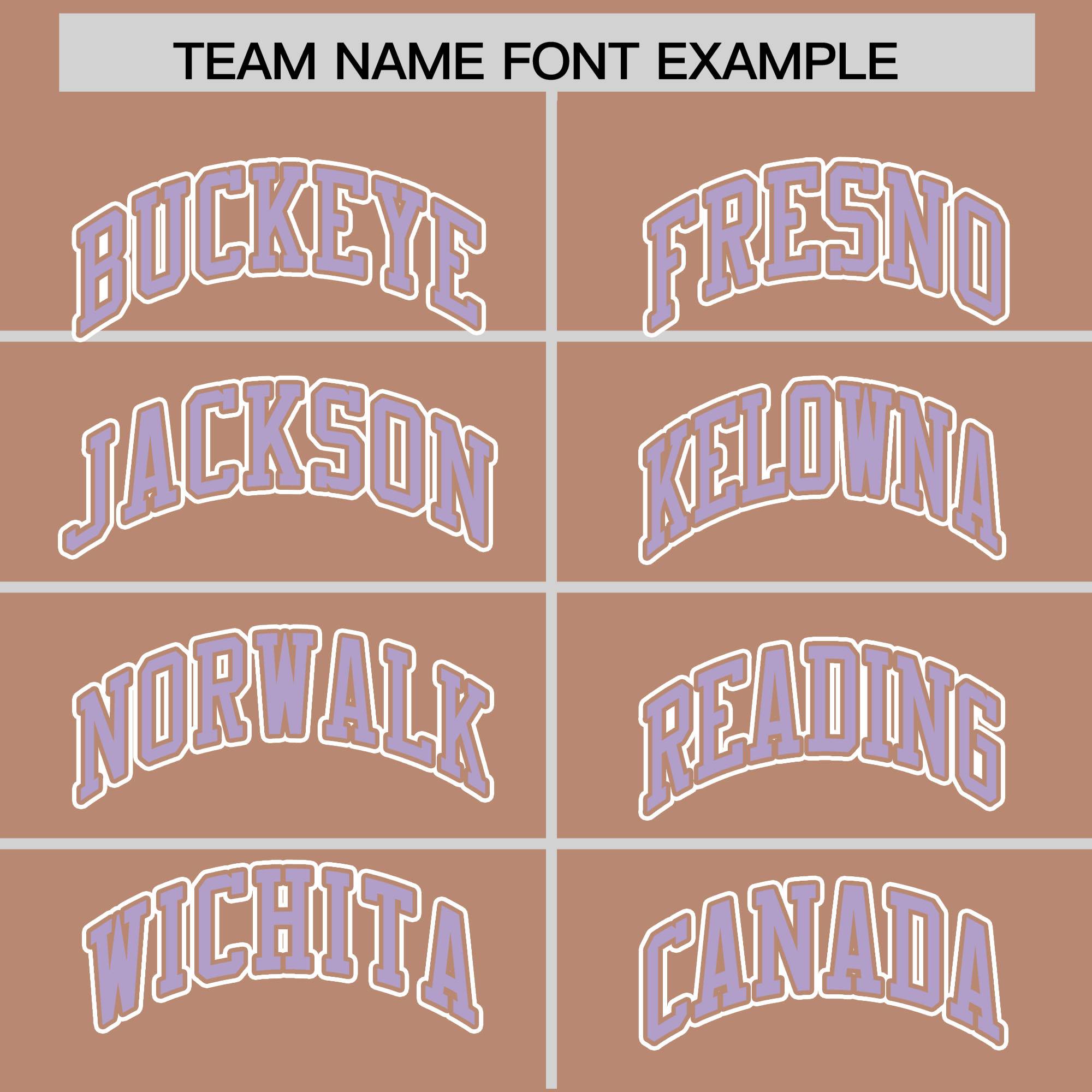 Custom Light Brown Light Purple Raglan Sleeves Varsity Full-Snap Letterman Two Tone Jacket Hoodie| KXKSHOP