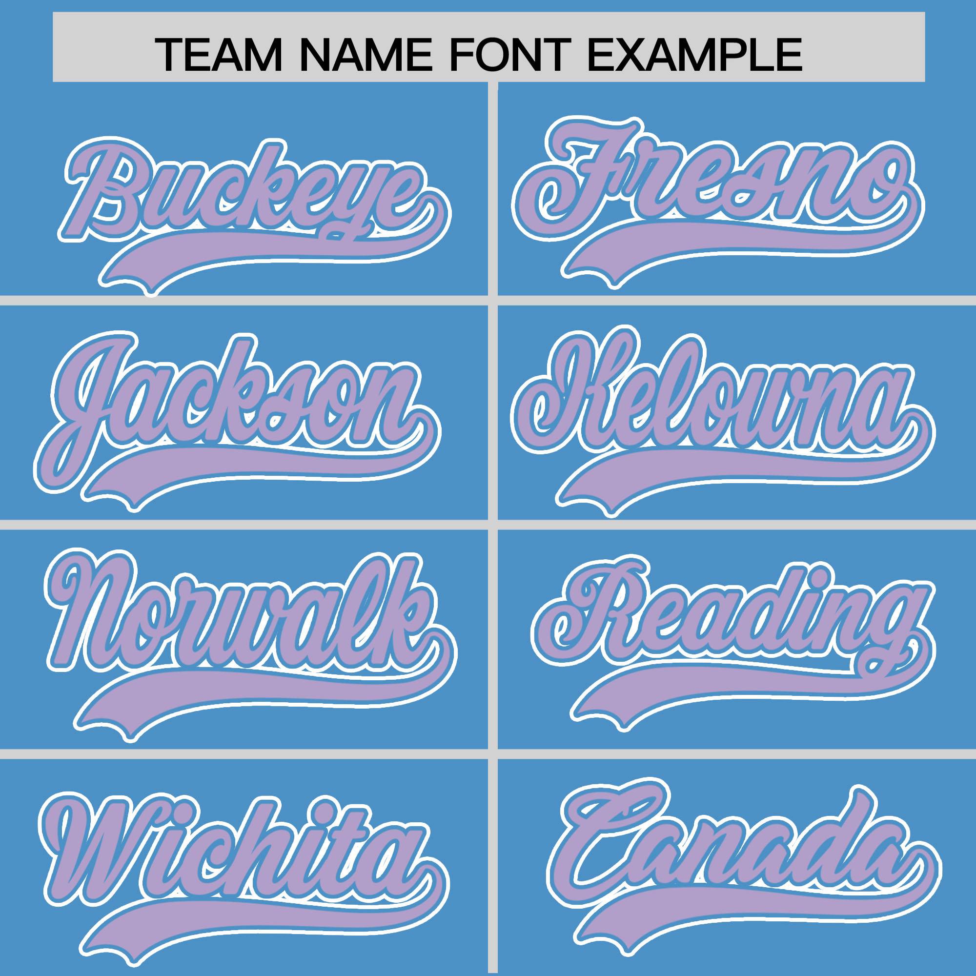 Custom Powder Blue Light Purple Raglan Sleeves Varsity Full-Snap Letterman Two Tone Jacket Hoodie| KXKSHOP